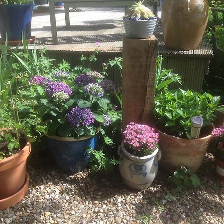 Au Fond du Jardin Maison d'hôtes Saint-Saëns Extérieur photo