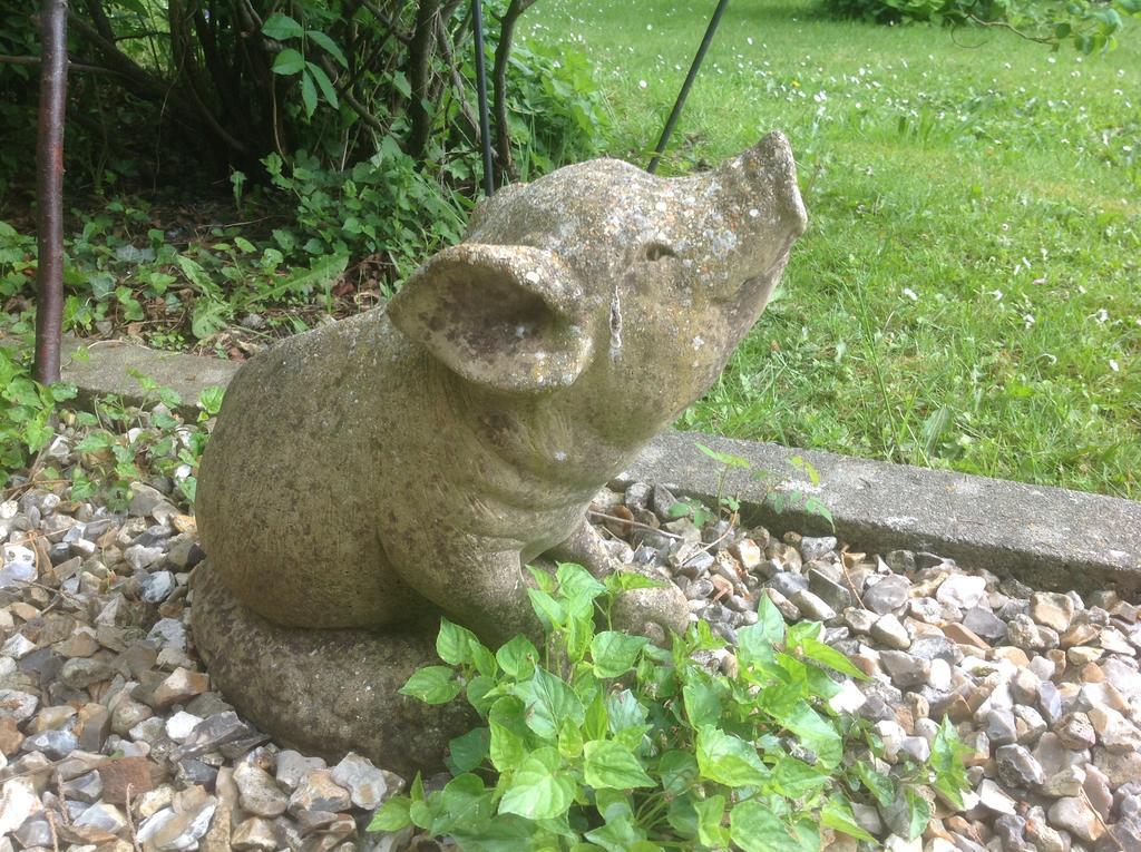 Au Fond du Jardin Maison d'hôtes Saint-Saëns Extérieur photo