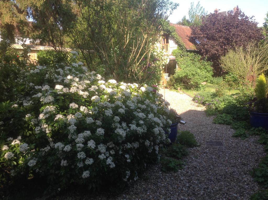Au Fond du Jardin Maison d'hôtes Saint-Saëns Extérieur photo