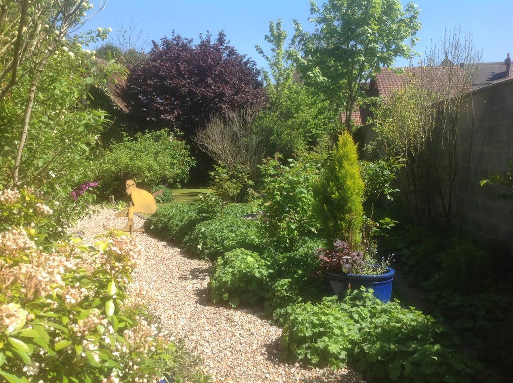 Au Fond du Jardin Maison d'hôtes Saint-Saëns Extérieur photo
