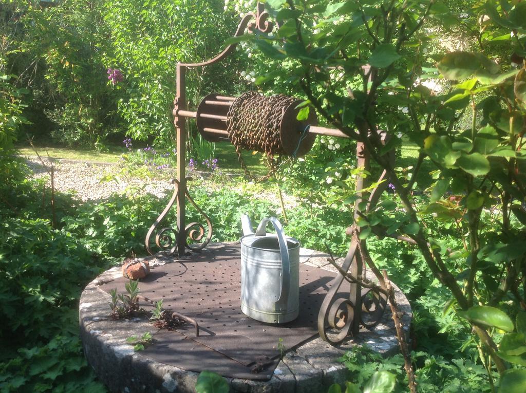 Au Fond du Jardin Maison d'hôtes Saint-Saëns Extérieur photo