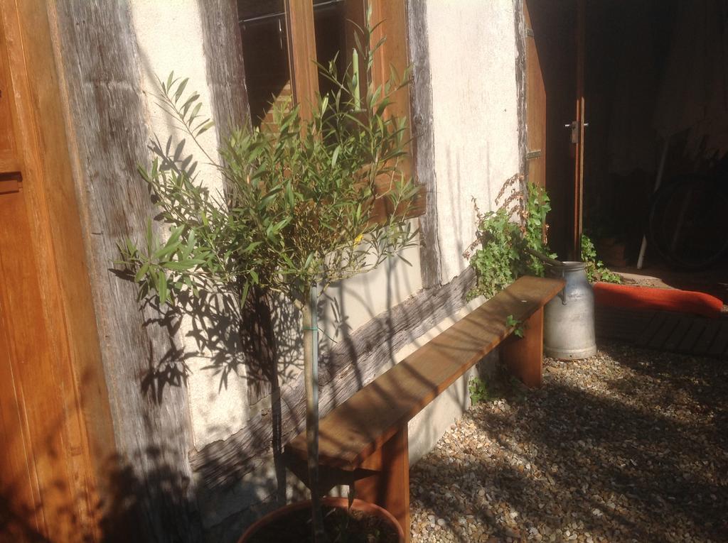 Au Fond du Jardin Maison d'hôtes Saint-Saëns Extérieur photo
