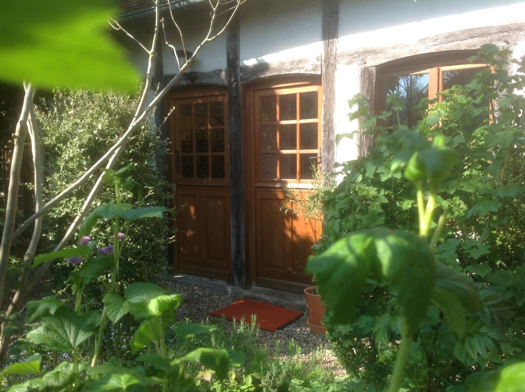 Au Fond du Jardin Maison d'hôtes Saint-Saëns Extérieur photo