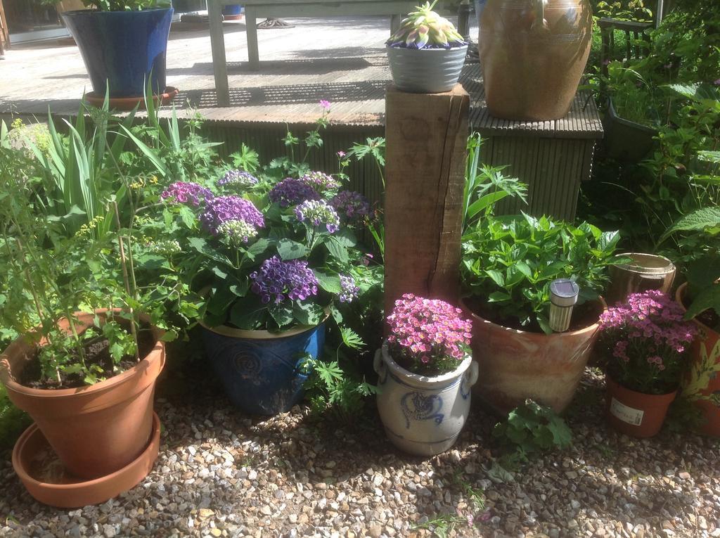 Au Fond du Jardin Maison d'hôtes Saint-Saëns Extérieur photo